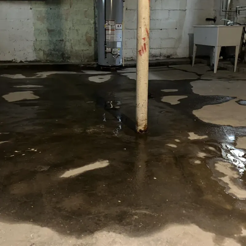 Emergency Water Extraction And Removal in Cuero, TX